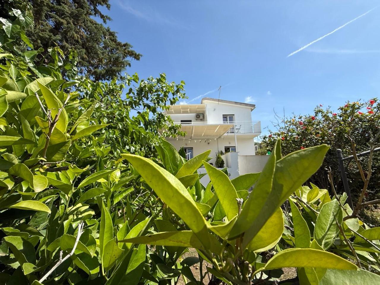 Terra Di Mare Guest House Agrigento Exterior photo